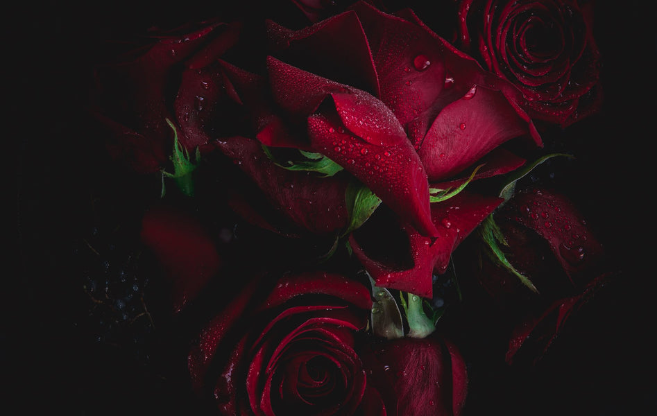 Gift Certificate | fine art flower print gift | Photography gift ideas