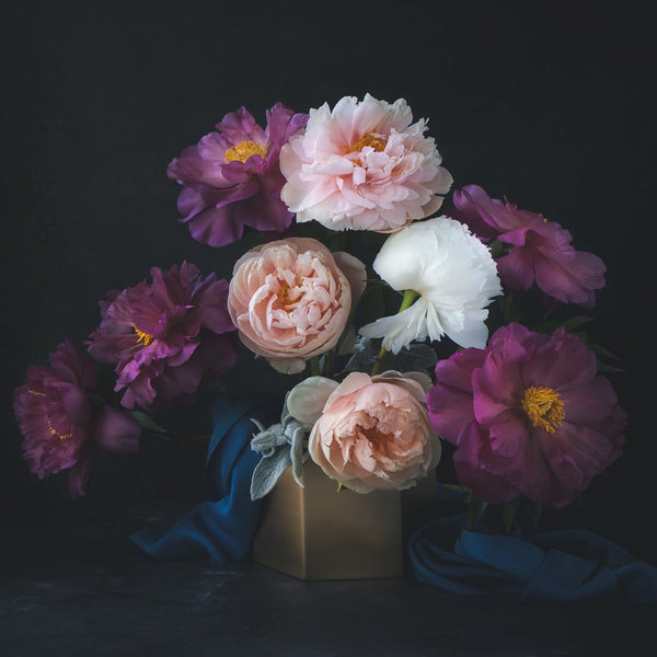 Early Summer Series Flower art prints | Fine art Flower photography