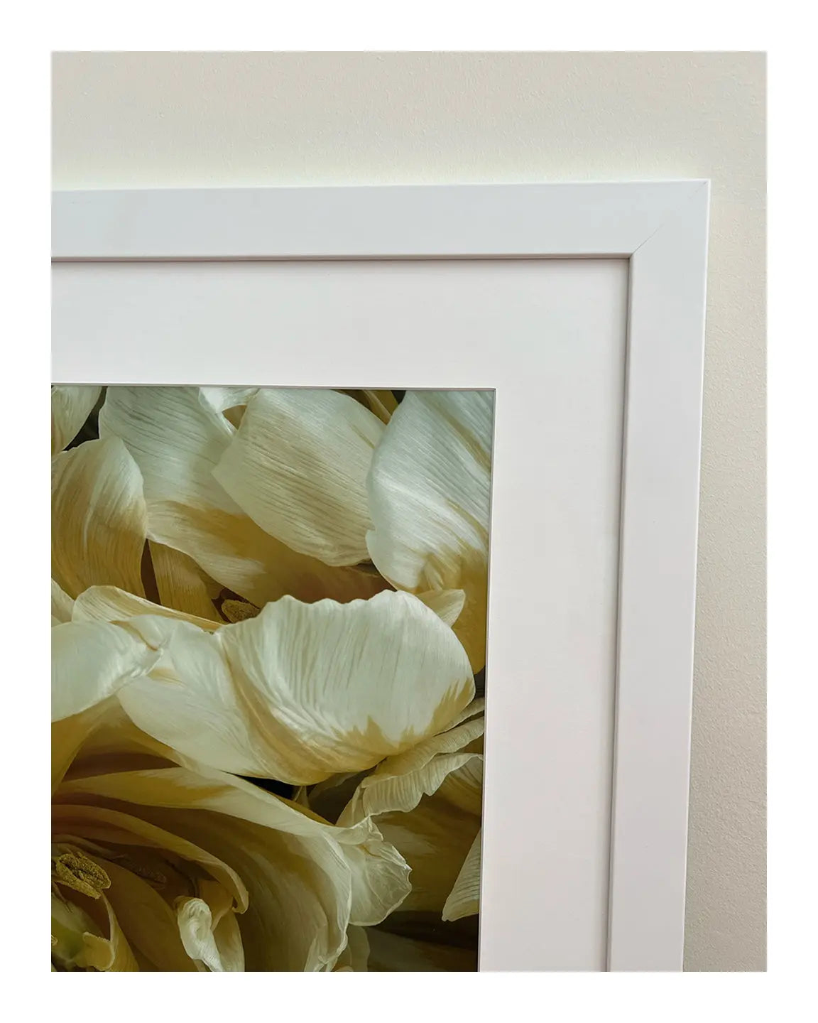 Friendship - A Framed Floral Art Print ELENA DRAGOI