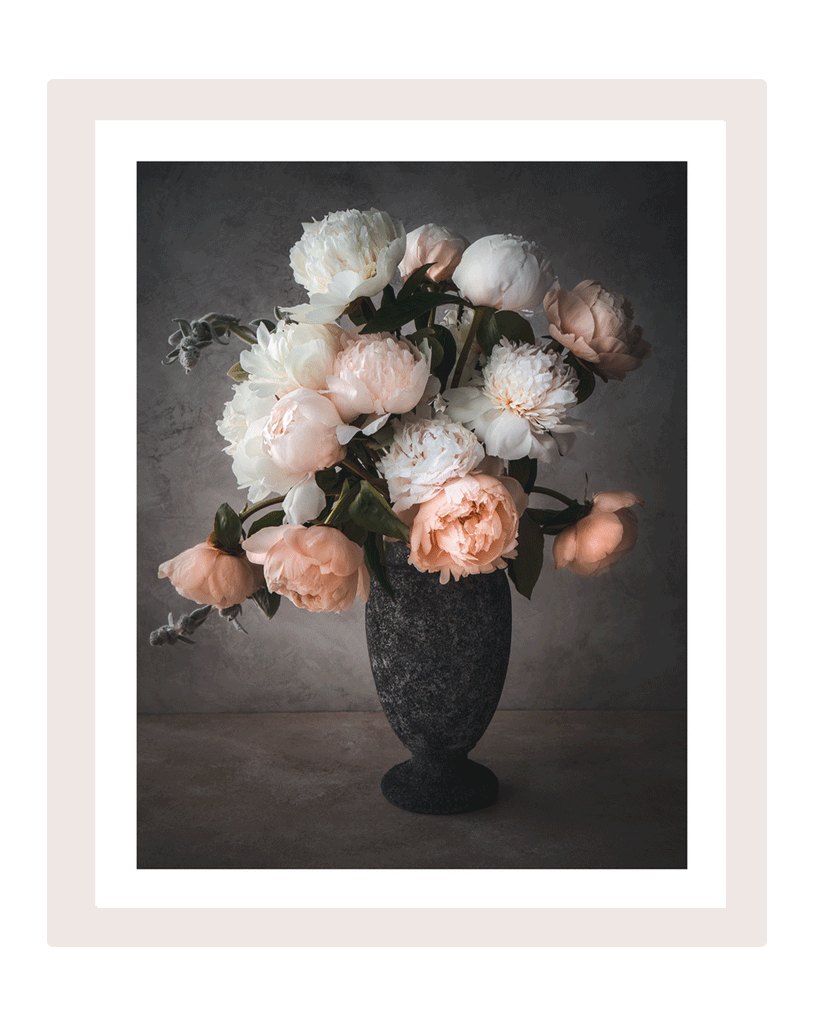 Blushing Romance | Fine Art Flower Prints | Elena Dragoi