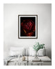 Breathe - flower art prints ELENA DRAGOI