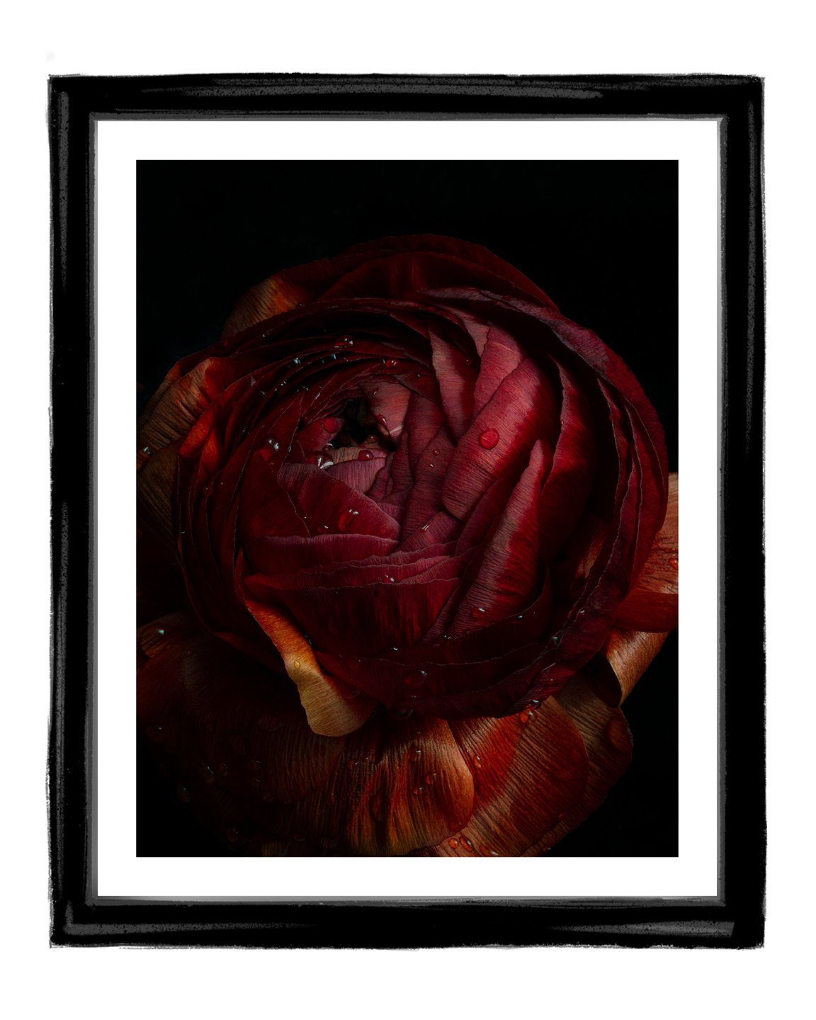 Breathe - flower art prints ELENA DRAGOI