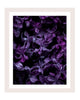 Butterflies - flower art prints ELENA DRAGOI