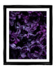 Butterflies - flower art prints ELENA DRAGOI