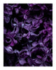 Butterflies - flower prints ELENA DRAGOI