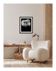 Collateral Beauty - flower art prints ELENA DRAGOI