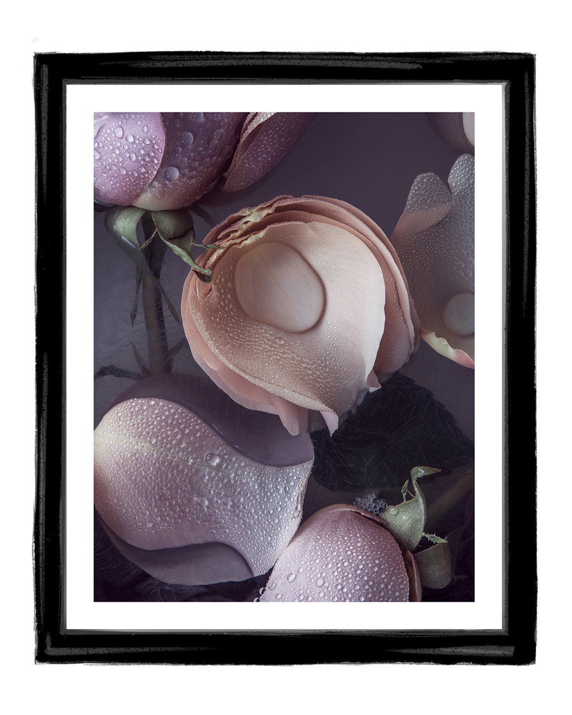 Dream - flower art prints ELENA DRAGOI