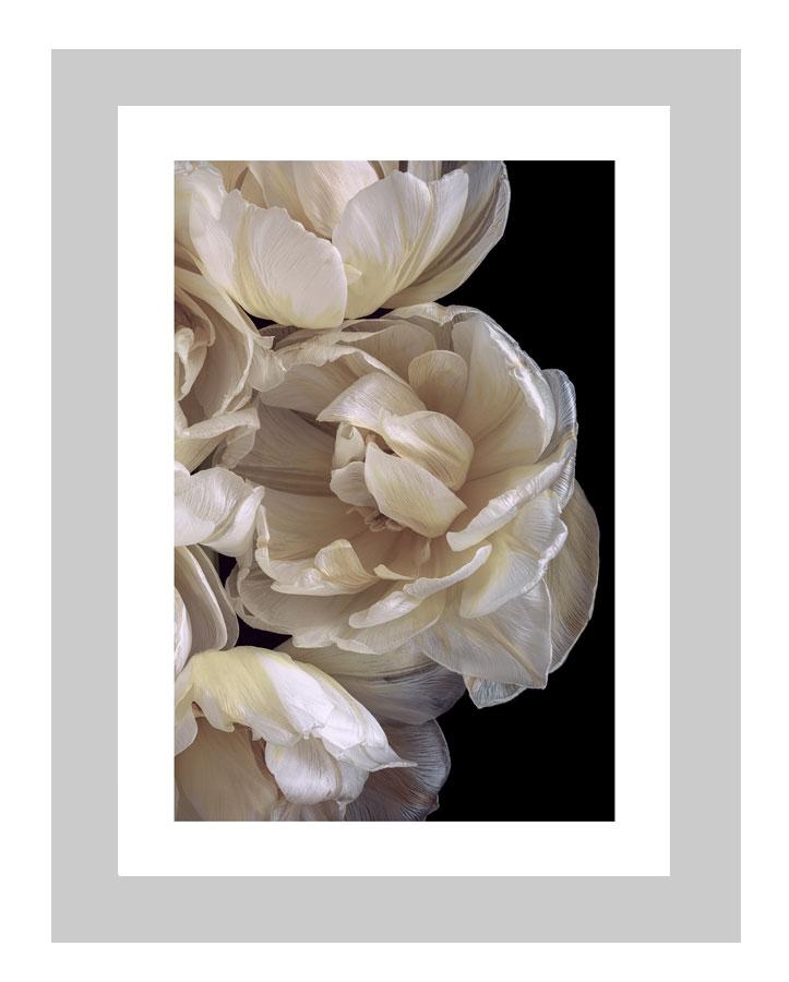 Enchanting Beauty | custom floral art cards | art postcards | flower prints | ELENA DRAGOI