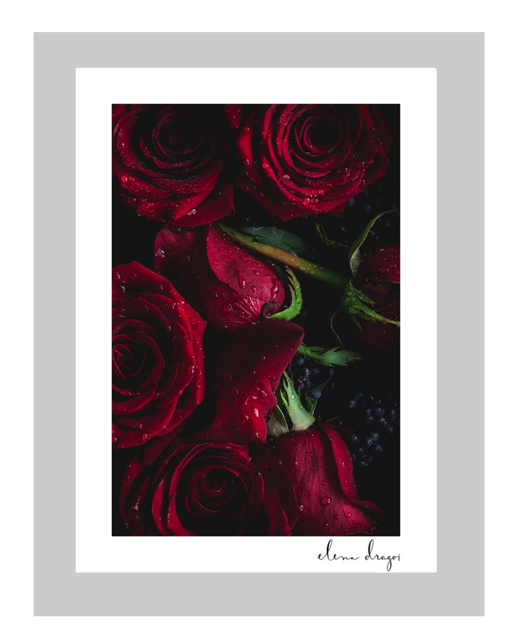 Festive Season I custom floral art cards | art postcards | ELENA DRAGOI