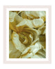 Friendship - flower art prints ELENA DRAGOI