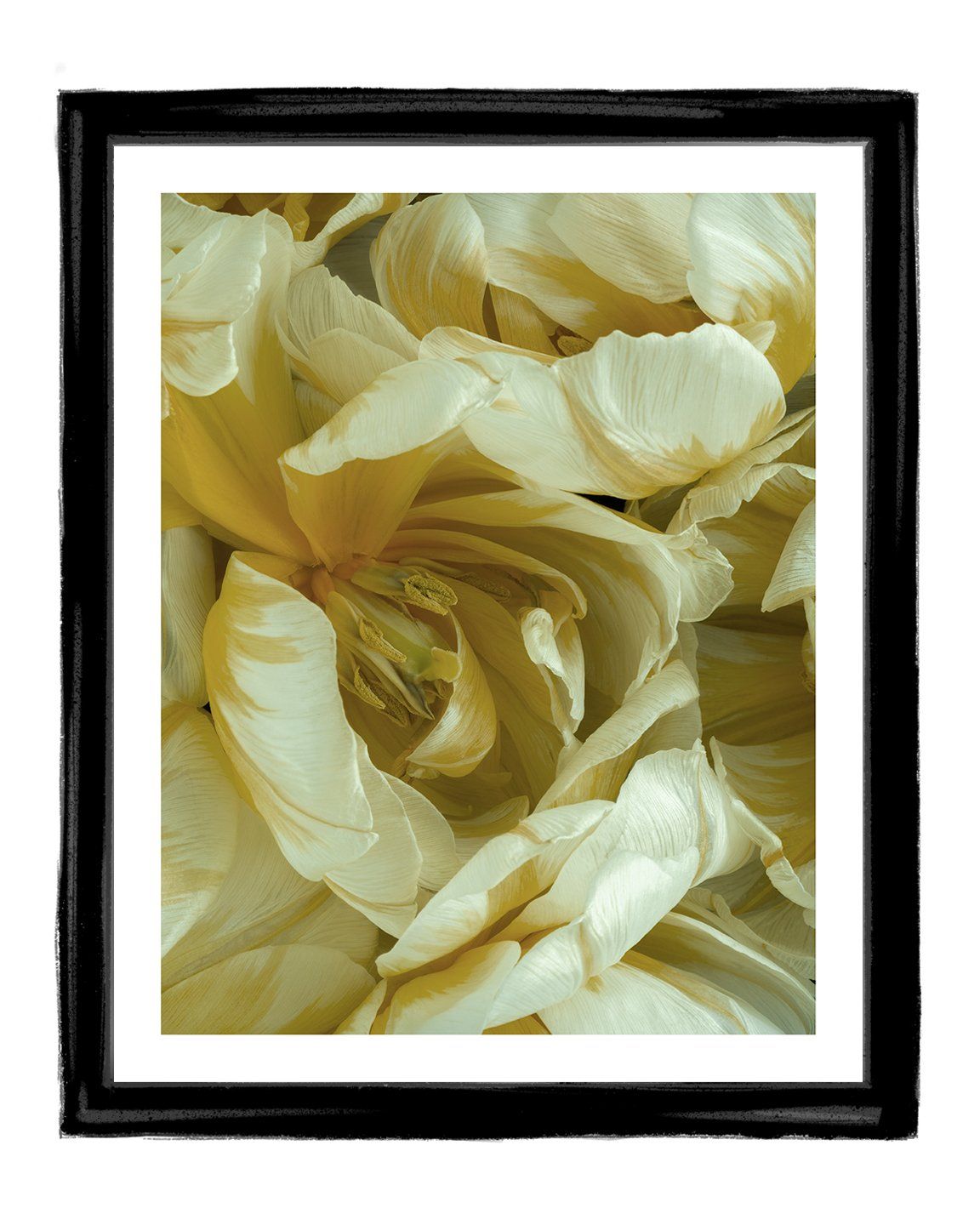 Friendship - flower art prints ELENA DRAGOI