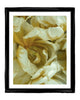 Friendship - flower art prints ELENA DRAGOI