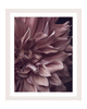 Intrinsic Worth | Flower Art Prints | Elena Dragoi