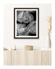 Inward Beauty - flower art prints ELENA DRAGOI