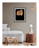 Light - flower art prints ELENA DRAGOI