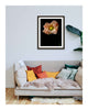 Light - flower art prints ELENA DRAGOI
