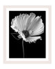 Love of a Mother - flower art prints ELENA DRAGOI