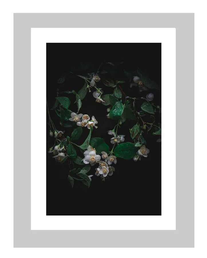 Orange Blossoms | custom floral art cards | art postcards | flower prints | ELENA DRAGOI
