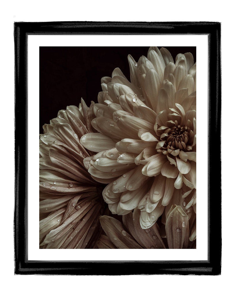 Patience - flower art prints ELENA DRAGOI