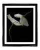 Steadfast Sisterhood - flower art prints ELENA DRAGOI