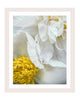 The Gift - flower art prints ELENA DRAGOI