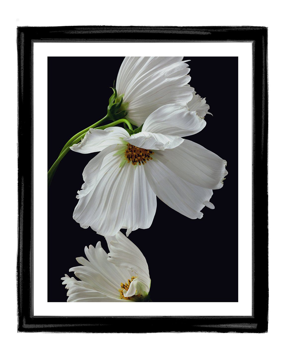 The Love That Remains - flower art prints ELENA DRAGOI