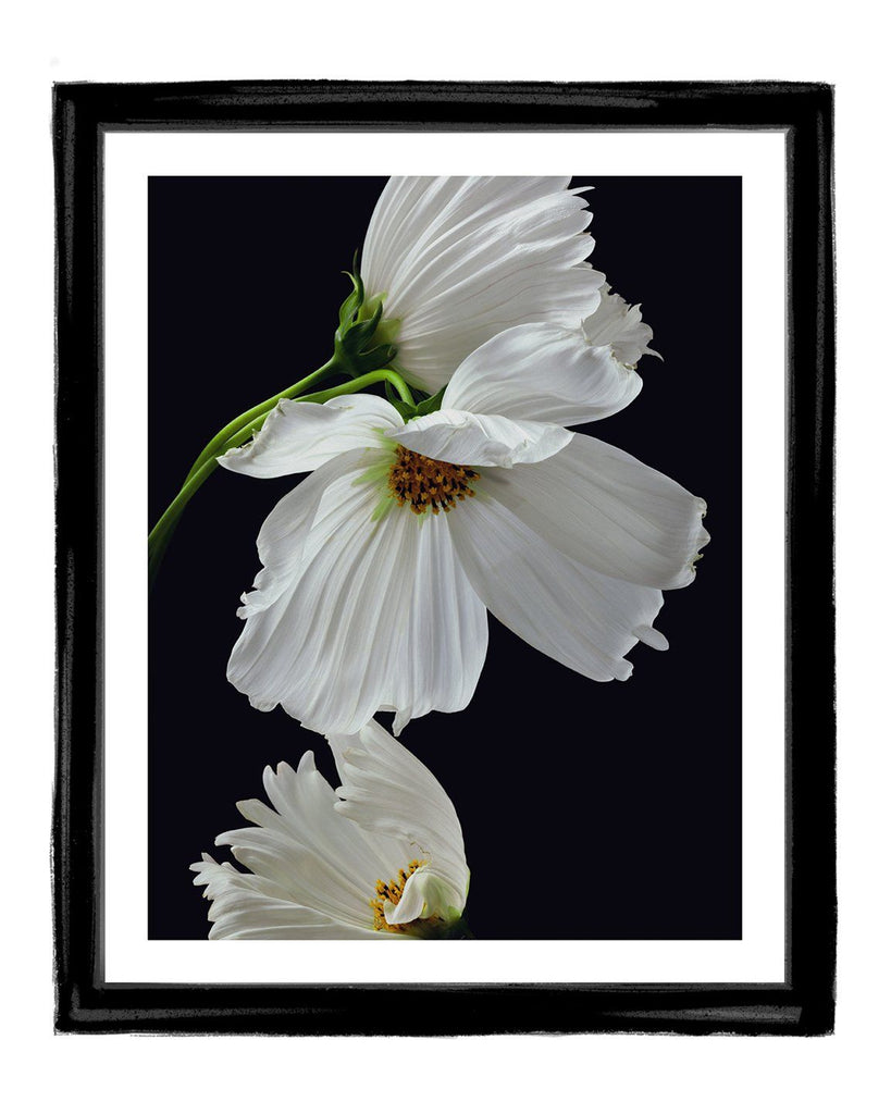 The Love That Remains - flower art prints ELENA DRAGOI