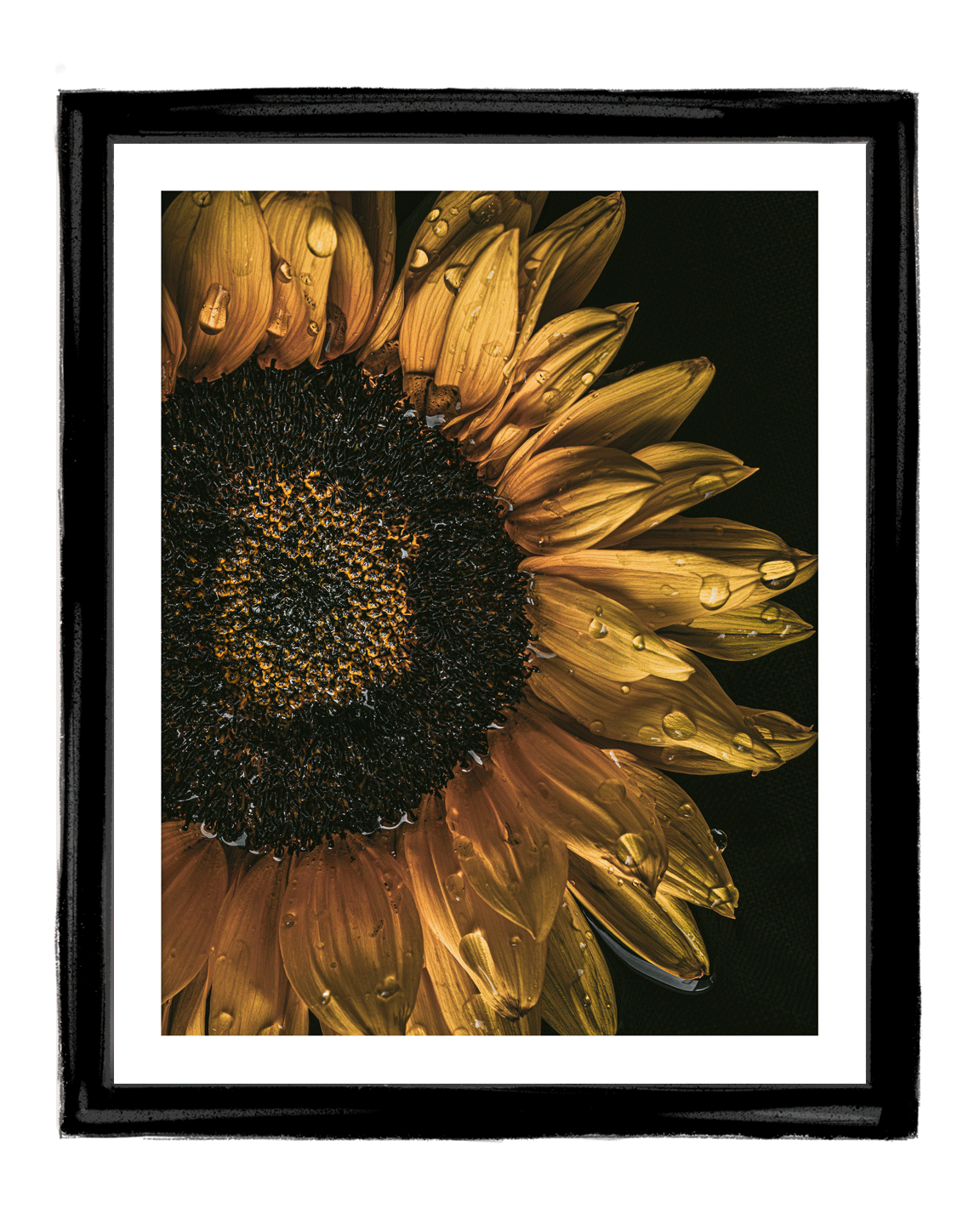 The Language of Bliss I Fine Art Sunflower Prints | Elena Dragoi