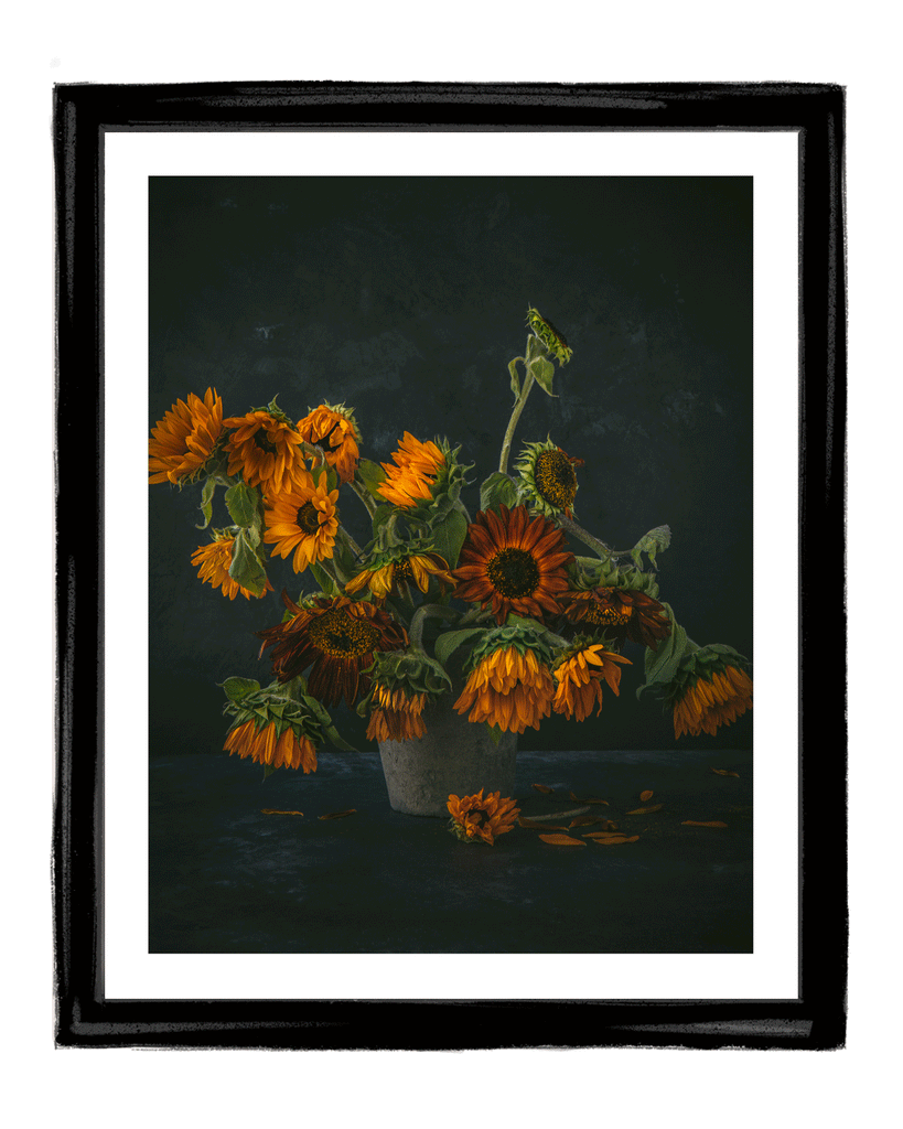 The Melody of Flowers I Fine Art Sunflower Photography | Elena Dragoi
