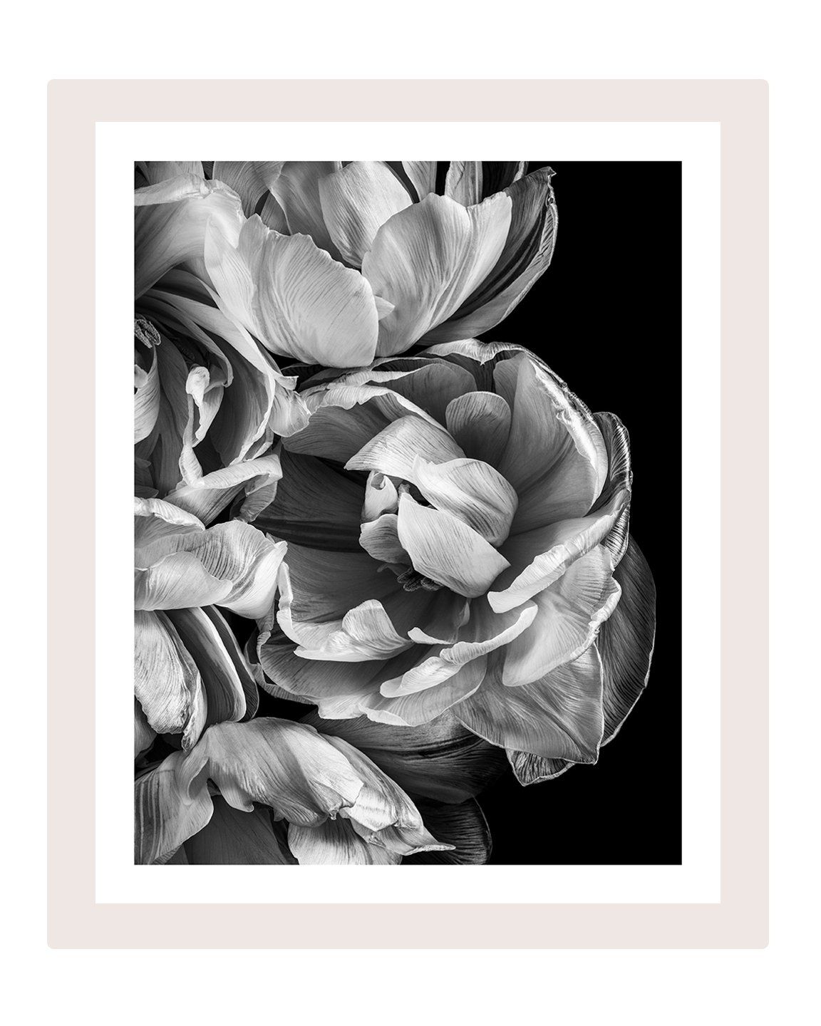 Timeless Love - flower art prints ELENA DRAGOI