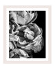 Timeless Love - flower art prints ELENA DRAGOI