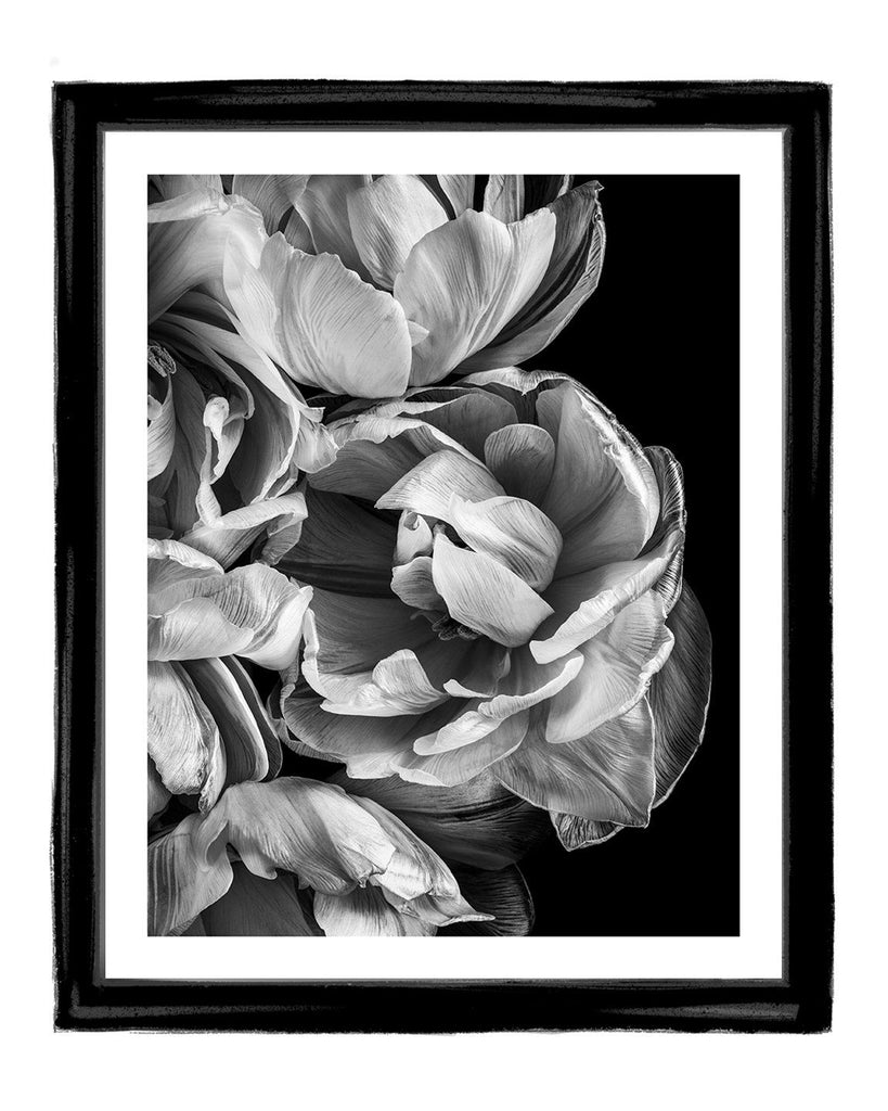 Timeless Love - flower art prints ELENA DRAGOI