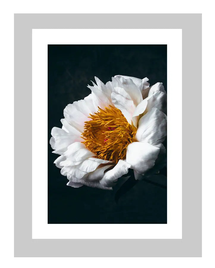 Unwavering Presence | custom floral art cards | art postcards | flower prints | ELENA DRAGOI