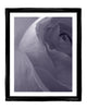Violet Dusk - flower art prints ELENA DRAGOI