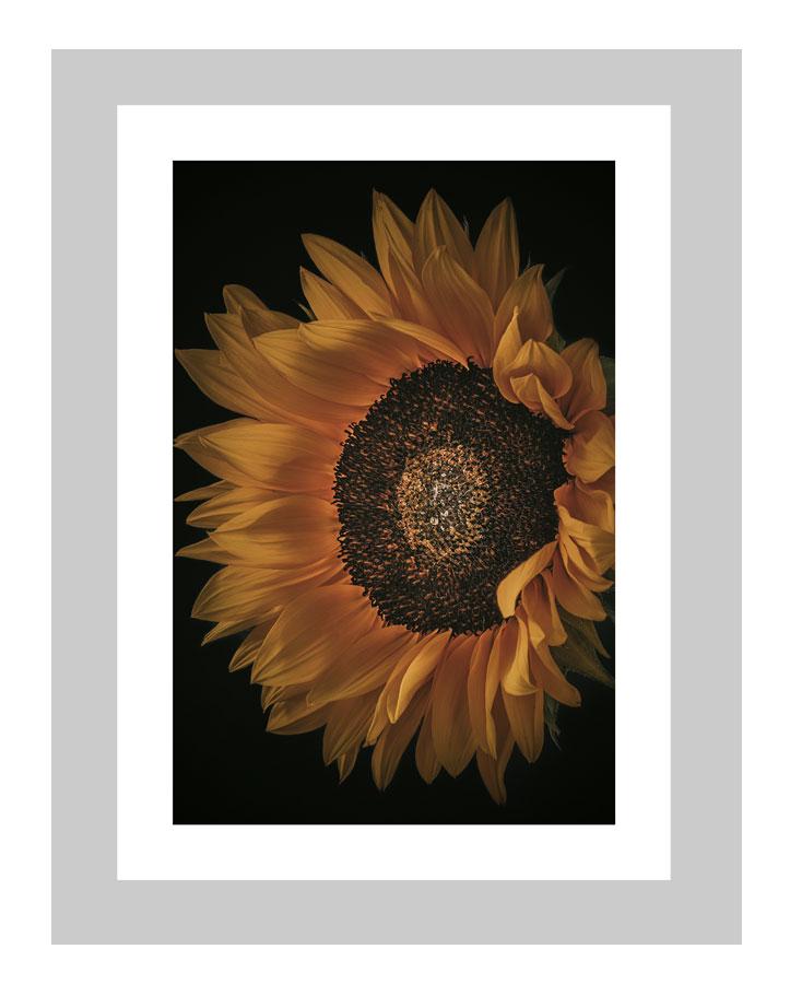 Warmth | custom floral art cards | art postcards | flower prints | ELENA DRAGOI