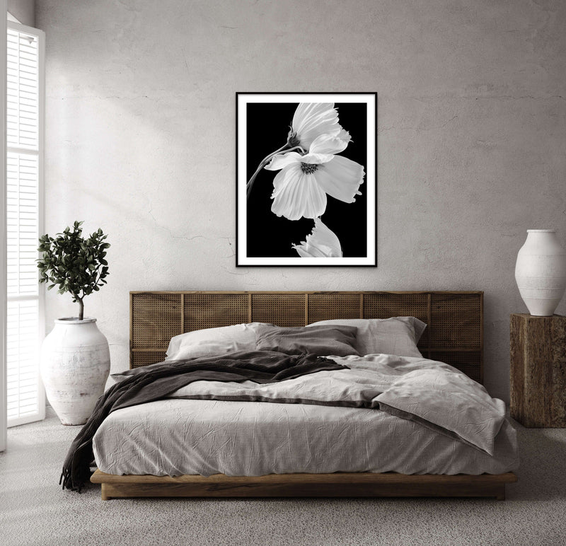 Preserve the Beauty of Your Fine Art Prints: A Guide to Timeless Elegance