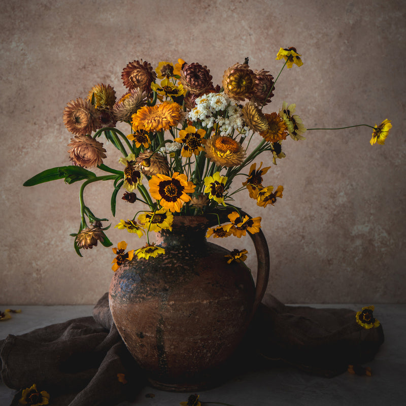 Wild Blooms - Flower Photography Tutorial