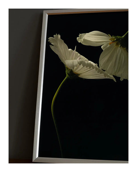 Framed Elegance: Artistry Meets Craftsmanship