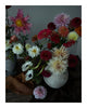 A Floral Story, Just for You ELENA DRAGOI