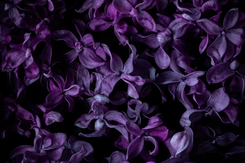 Art Prints to Welcome Spring