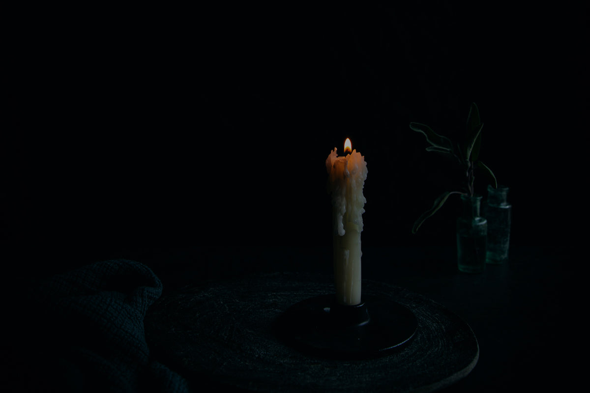 Where Art and Wellness Meet -  featuring Elena Dragoi's floral photography work