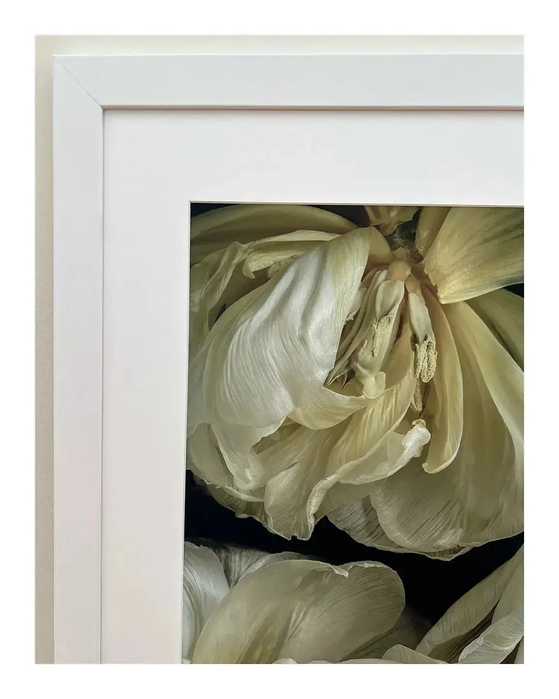 Friendship - A Framed Floral Art Print ELENA DRAGOI