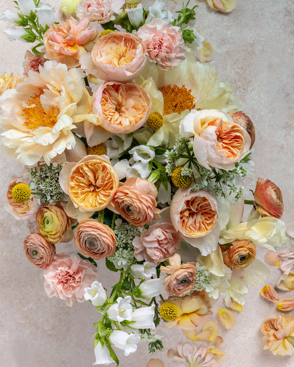 Botanical art print 3