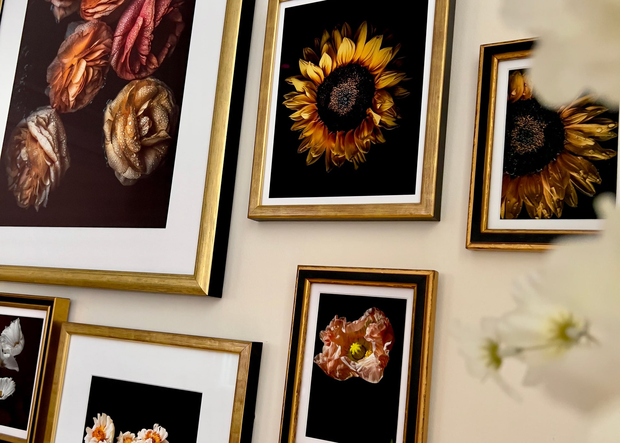 Elena Dragoi limited edition fine art floral prints in gold frames - signed and numbered museum-quality flower photography in 8x10, 16x20, and 18x24 inches, moody framed wall art collection