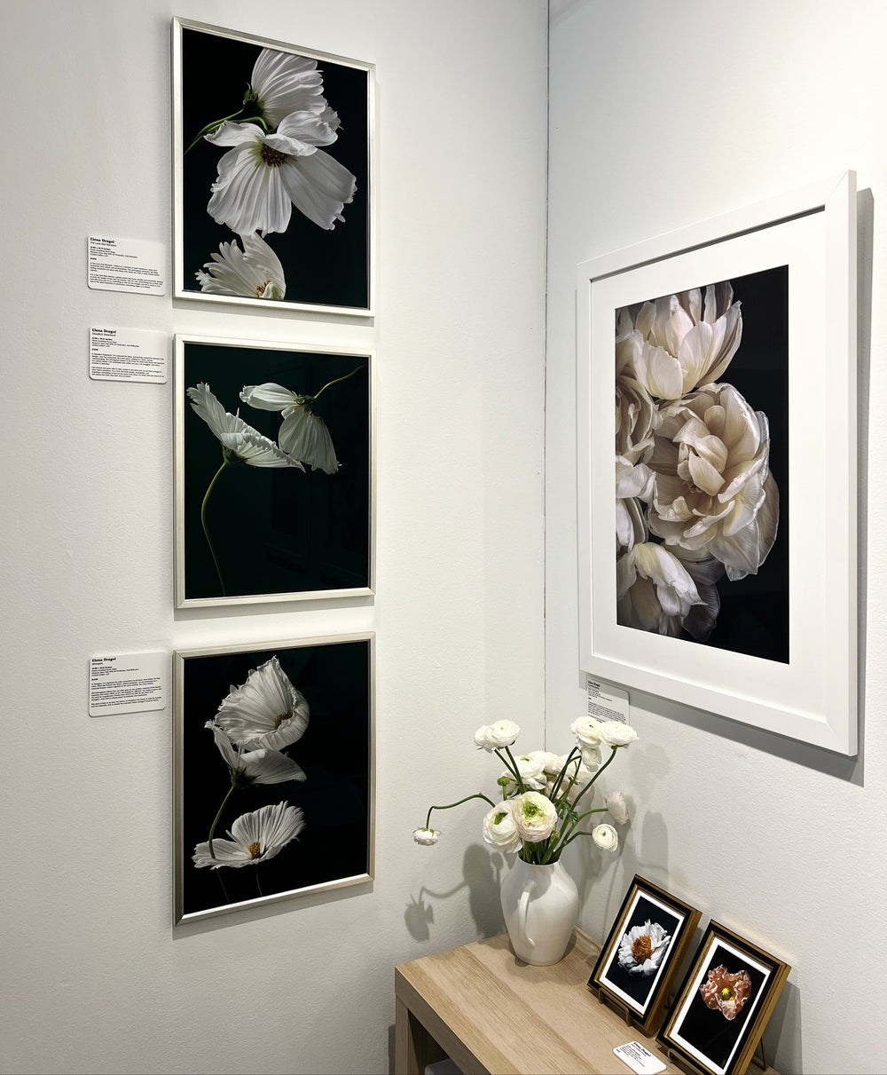 Elena Dragoi floral photograph displayed at The Other Art Fair Los Angeles 2026