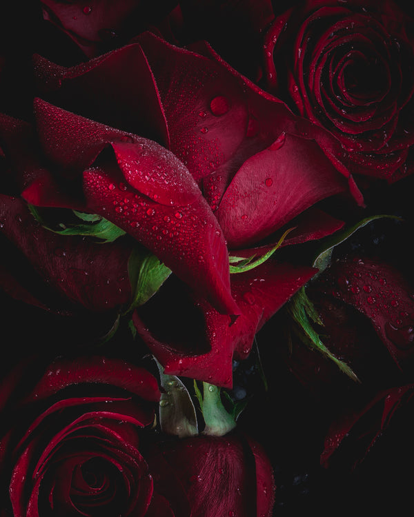 Botanical art print 3