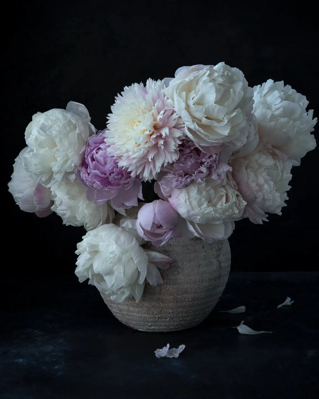 Love at First Sight ELENA DRAGOI