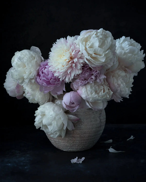 Love at First Sight ELENA DRAGOI