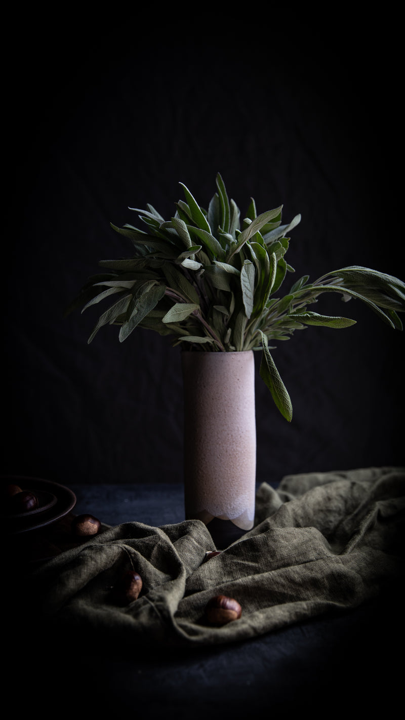 Olive branches in minimalist vase on dark background representing rooted wellness and grounding body practices