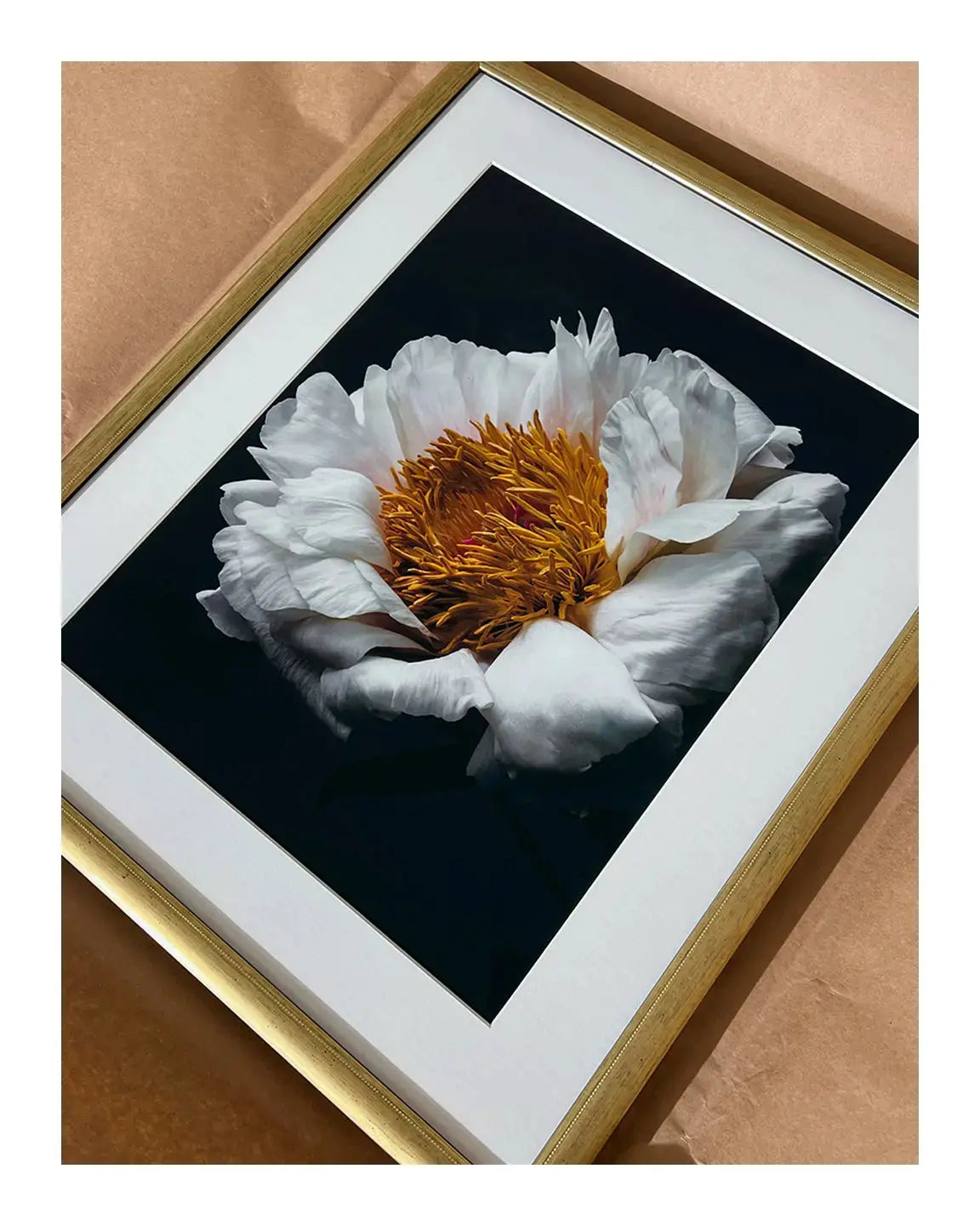 Scent of a Rose - Framed Fine Art Floral Photography | Limited Edition ELENA DRAGOI